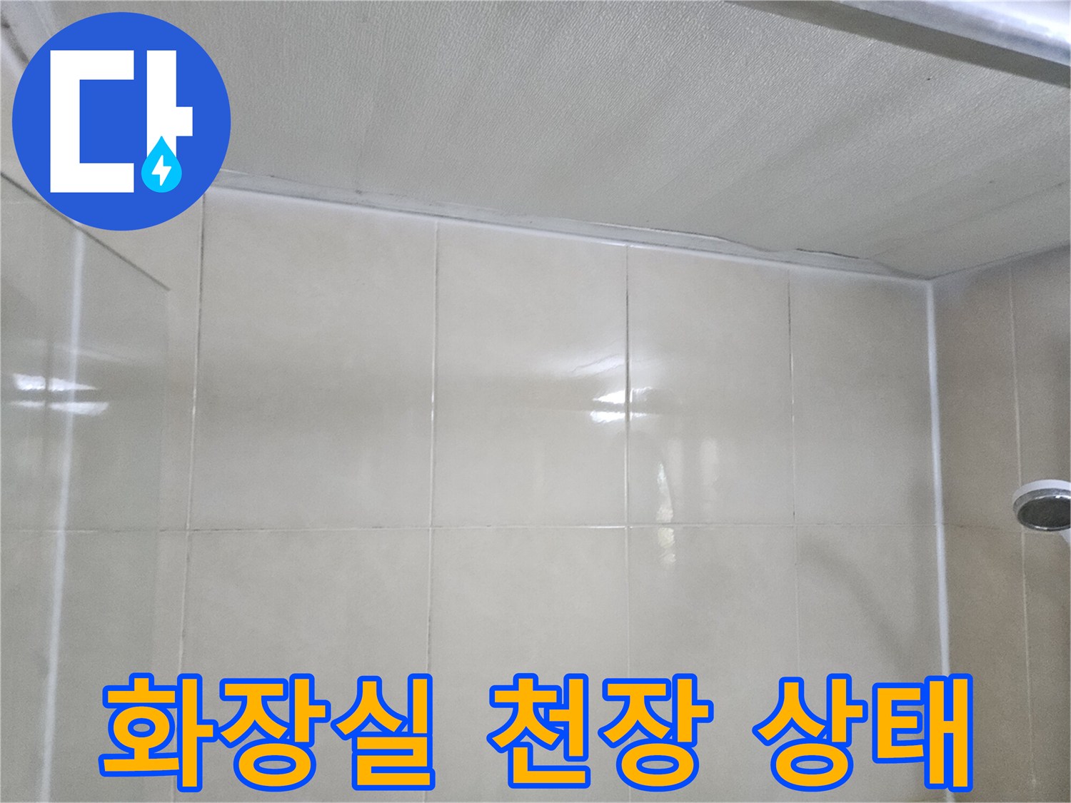 화장실-천장-타일-및-천정재-상태-사진