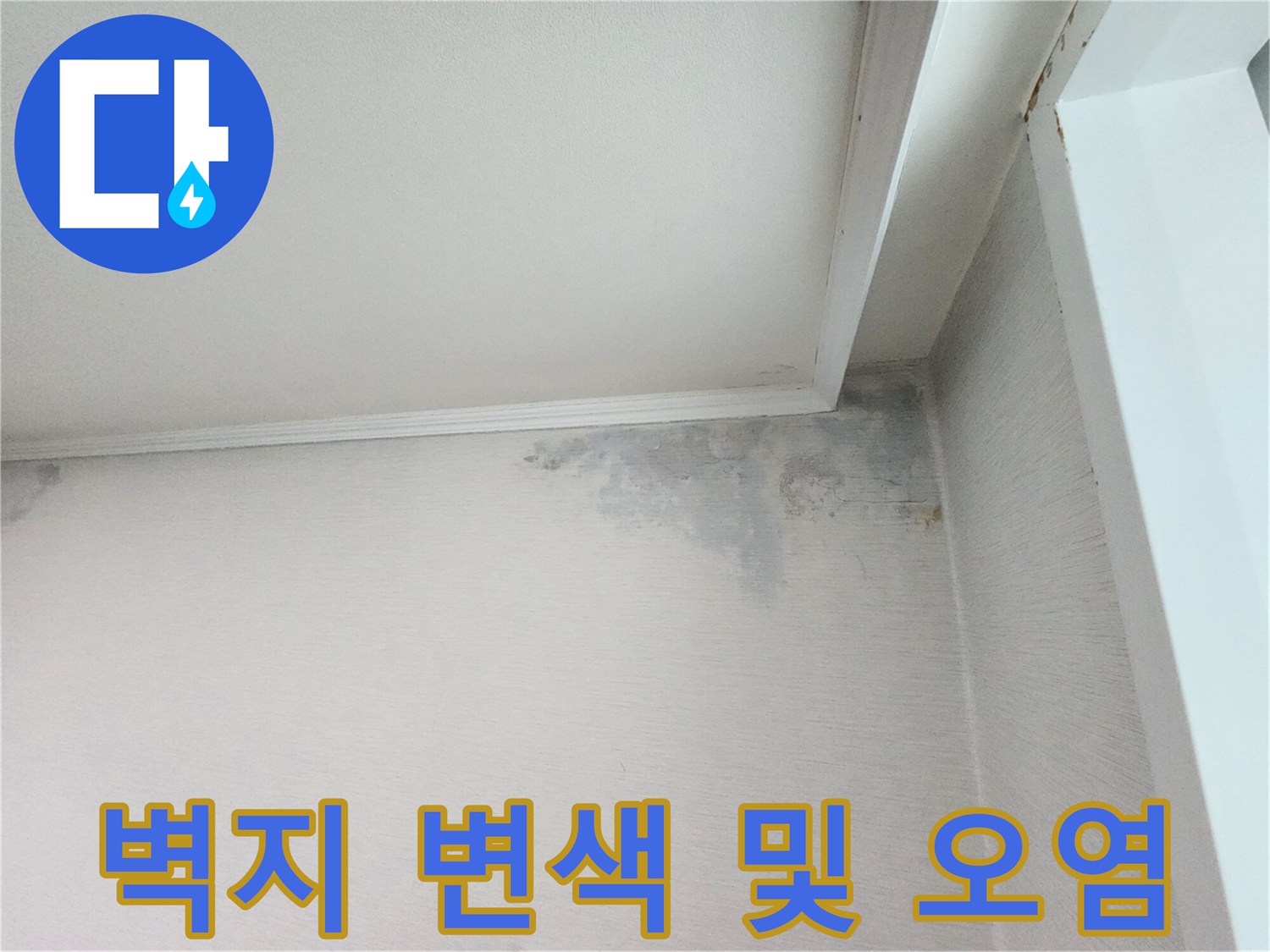분당 정자동 아파트-천장 몰딩 주변의 누수 흔적 사진