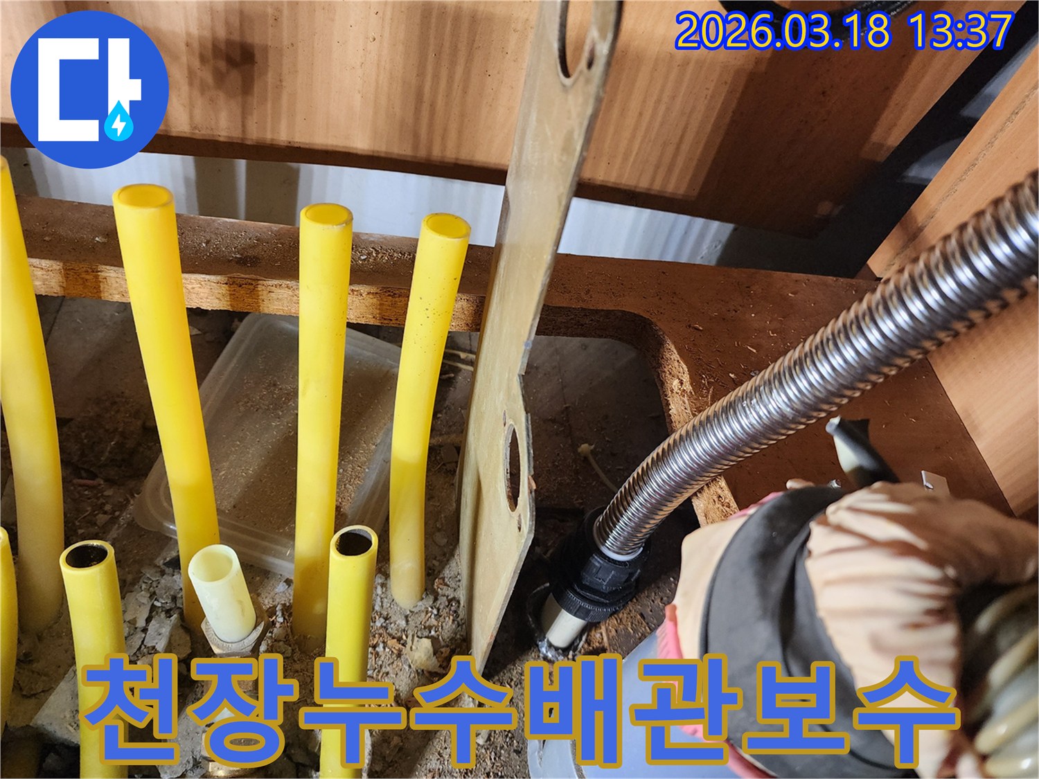 천장-누수-원인이-된-배관을-정확히-찾아내어-새것으로-교체하는-파주-누수-현장-작업-사진