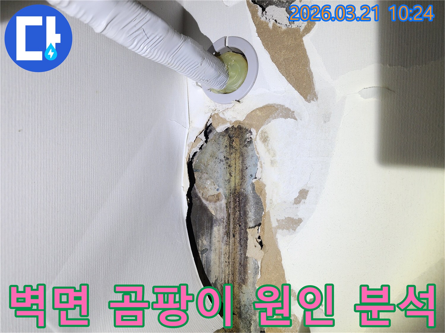 누수로-인해-벽지가-손상되고-곰팡이가-생긴-벽면에-누수-탐지-장비가-삽입되어-원인을-분석하는-모습