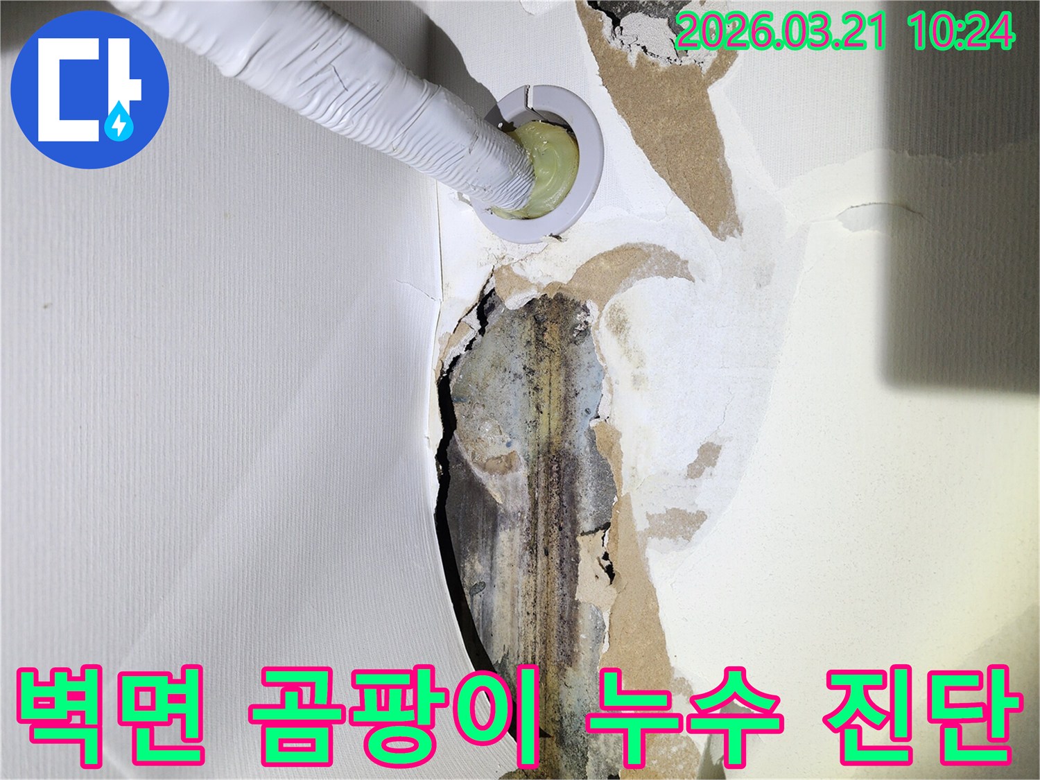 누수로-인해-벽지가-손상되고-곰팡이가-피어있는-벽면에-누수-탐지-장비가-삽입된-현장-사진