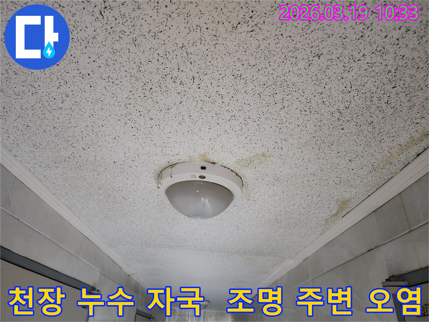 천장 조명 주위에 물이 새어 생긴-얼룩과 오염이 명확한-누수 현장 이미지