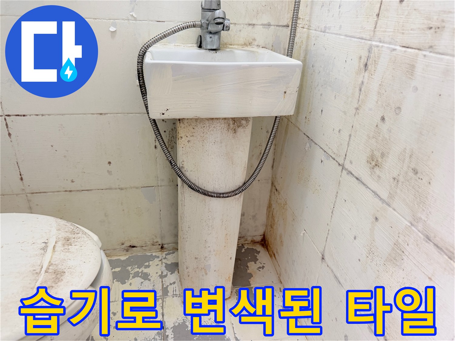 변기-뒷부분-타일-사이의-심한-변색과-얼룩