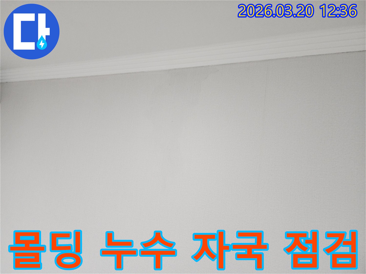 천장-몰딩-아래-벽면에-나타난-누수-자국을-꼼꼼히-점검하는-모습