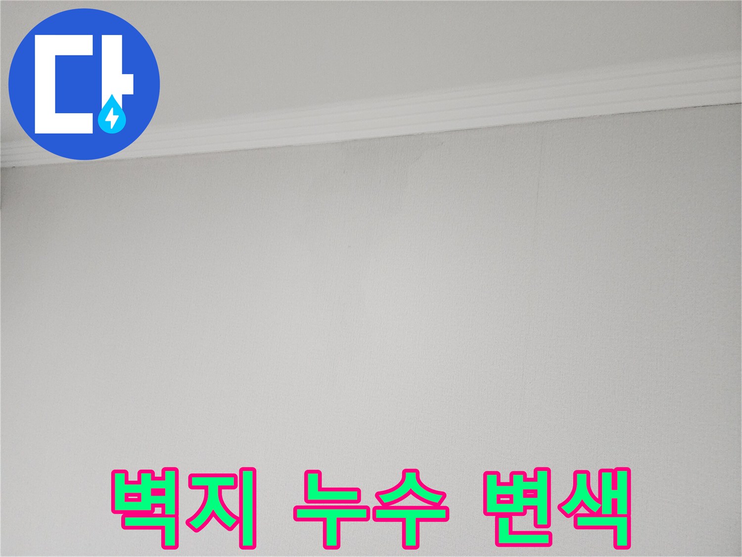 천장 몰딩 아래 벽지가 젖어 있는 모습