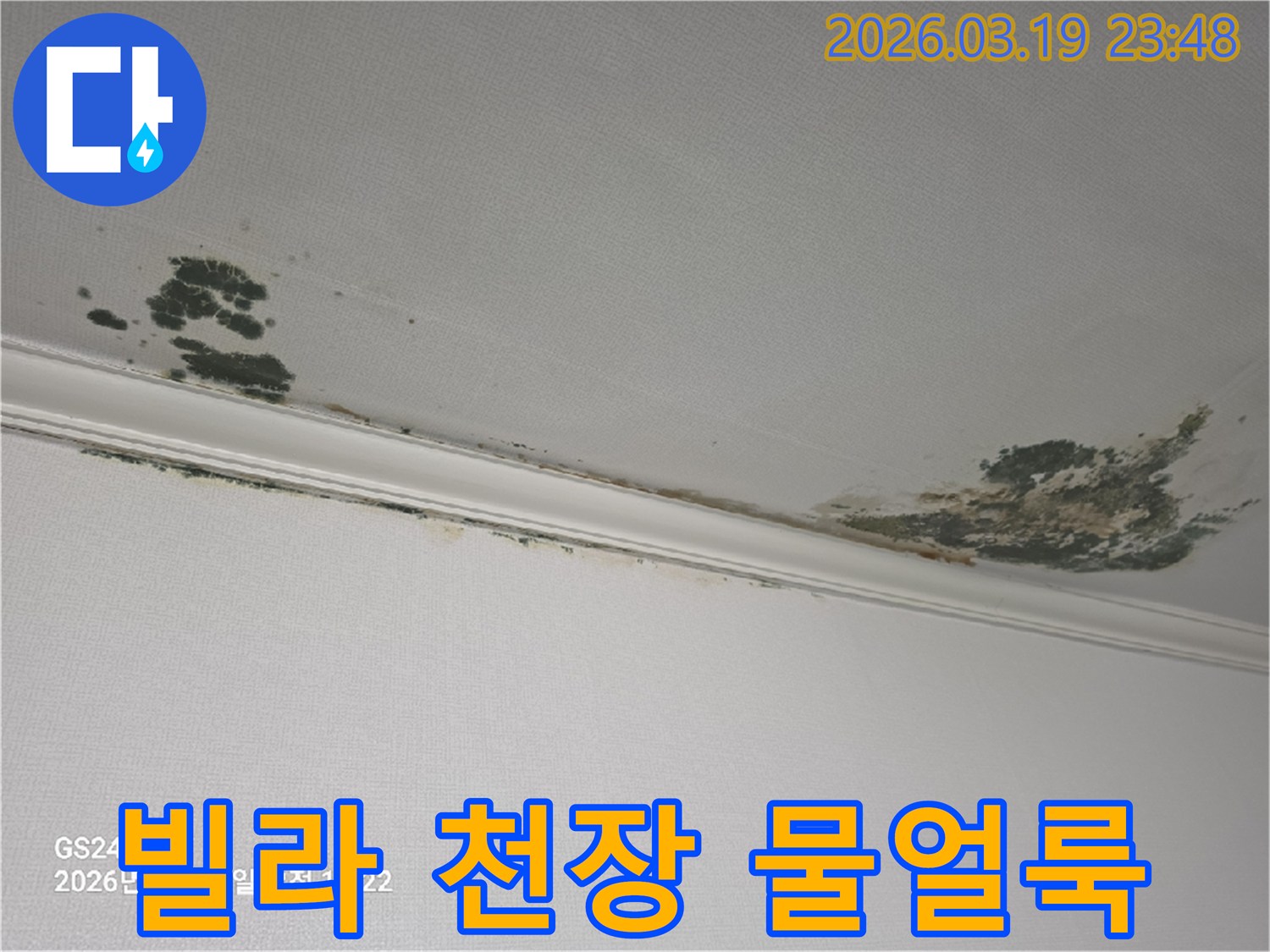 빌라-천장-누수-피해-물얼룩과-곰팡이-발생-모습-정밀한-탐지가-필요