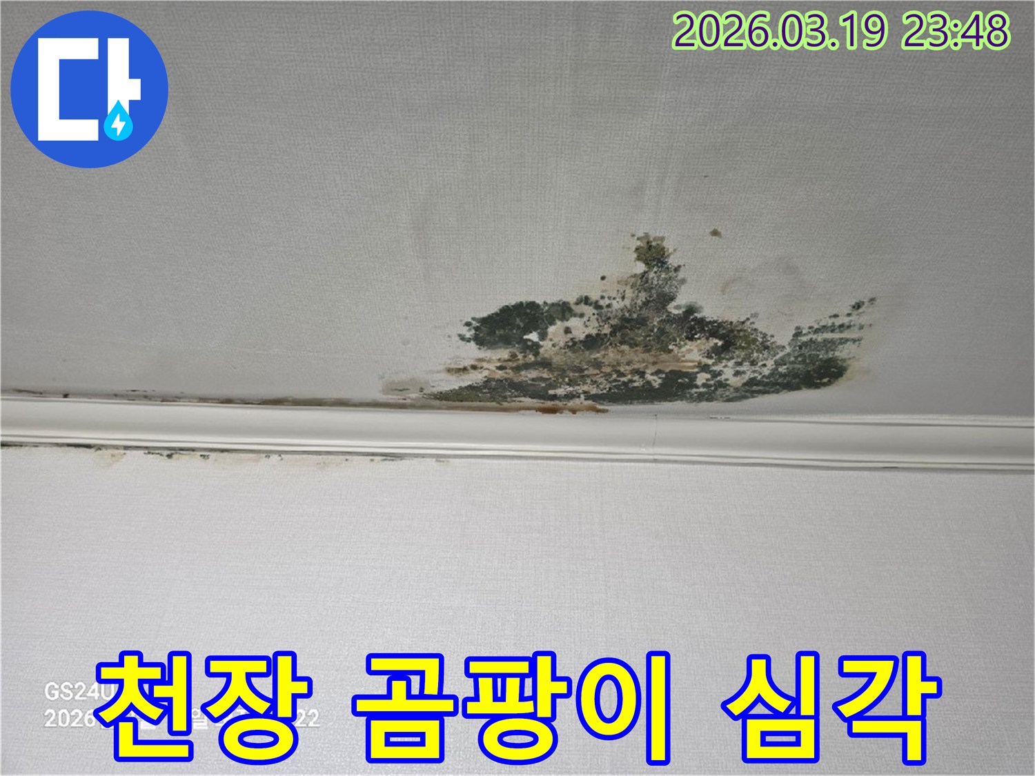 오래된-천장-누수로-인해-발생한-심각한-곰팡이-오염-현장-사진