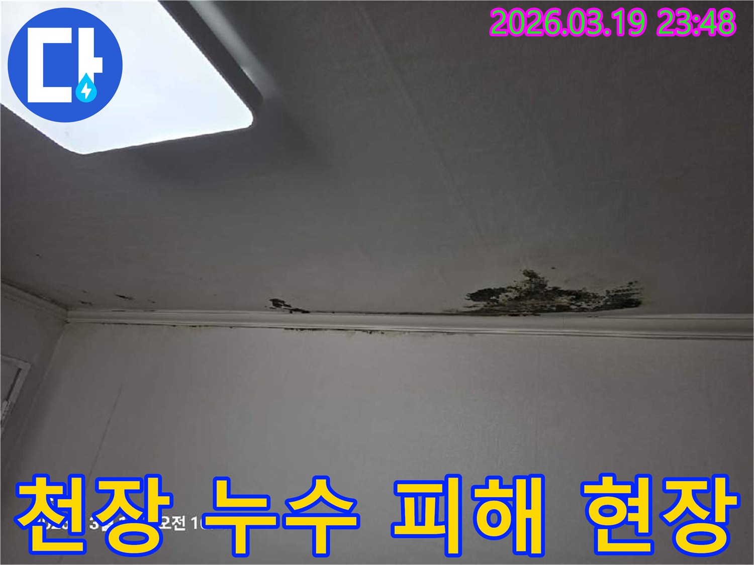 천장-모서리-부분에-물이-새어-들어-벽지가-젖고-손상된-모습을-보여주는-사진