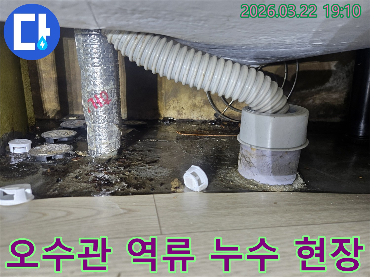 오수관 역류로 인해-바닥이 심하게 오염되고-누수가 발생한 현장을-전문가가 점검하는 모습