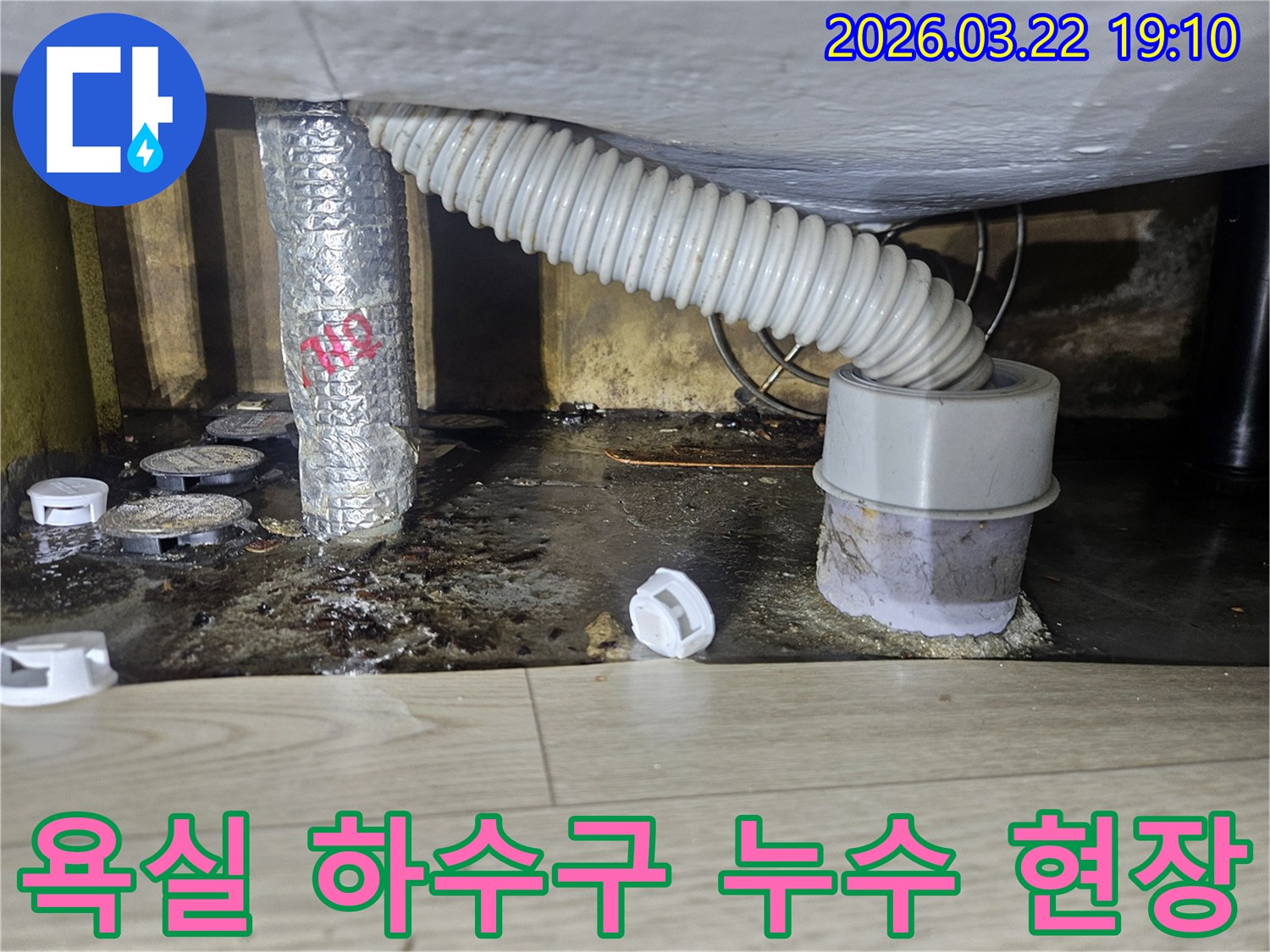 욕실 바닥 하수구 배관에서 발생한 누수로-오염된 현장을-전문가가 점검하는 모습