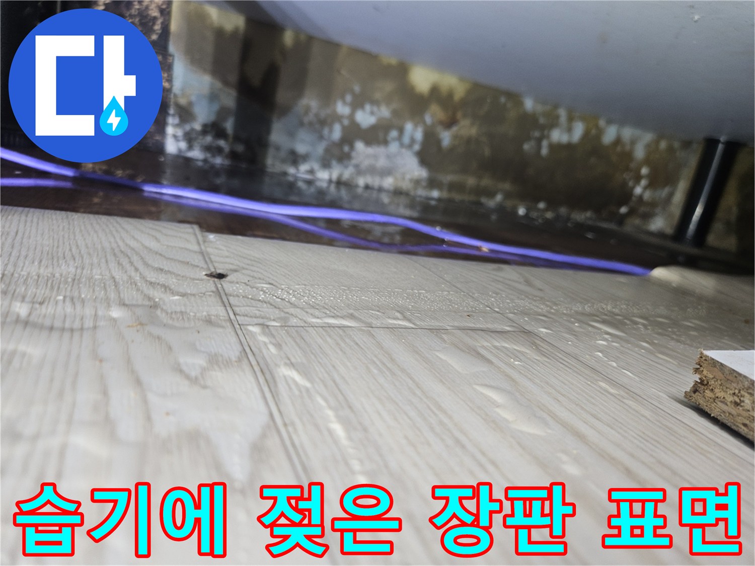 물기가-스며들어-변색된-바닥재와-벽체-곰<0xAE>팡이