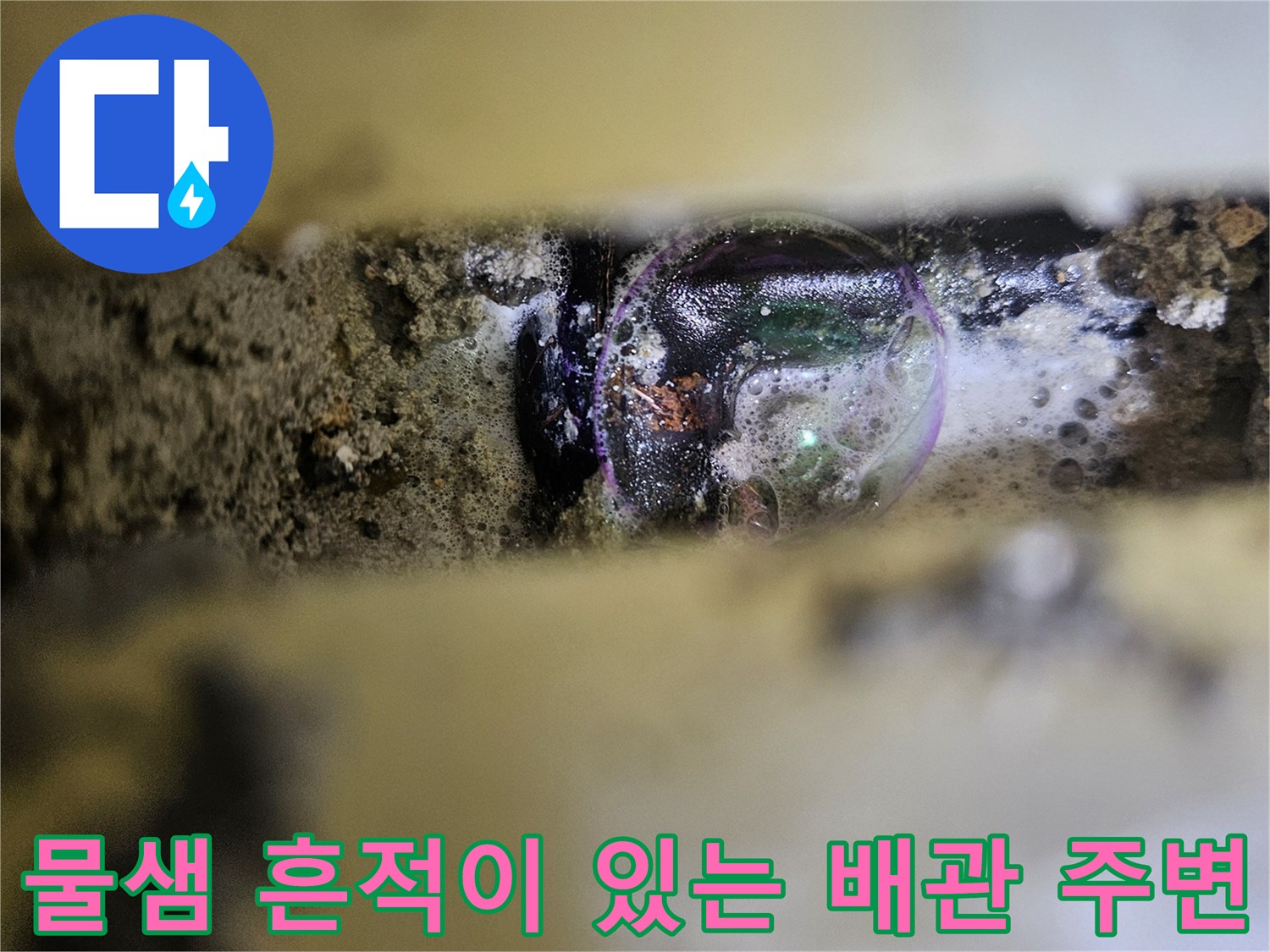 싱크대 하단 굴착 부위의 젖은 배관 모습