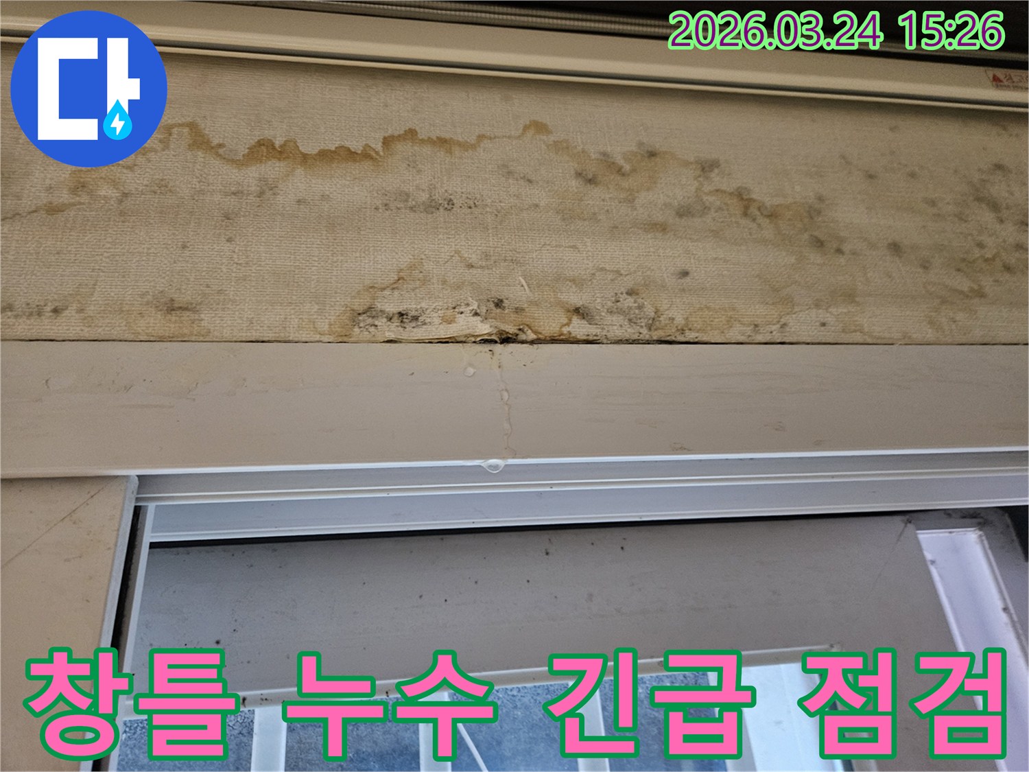 베란다 창틀 상단에서 물이 새고 벽지에 곰팡이가 생긴 누수 현장을 긴급 점검하는 모습