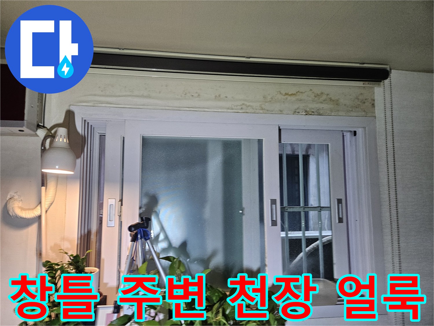 아파트 창문 위쪽 천장 벽면에 발생한 누수 흔적과 곰팡이 자국