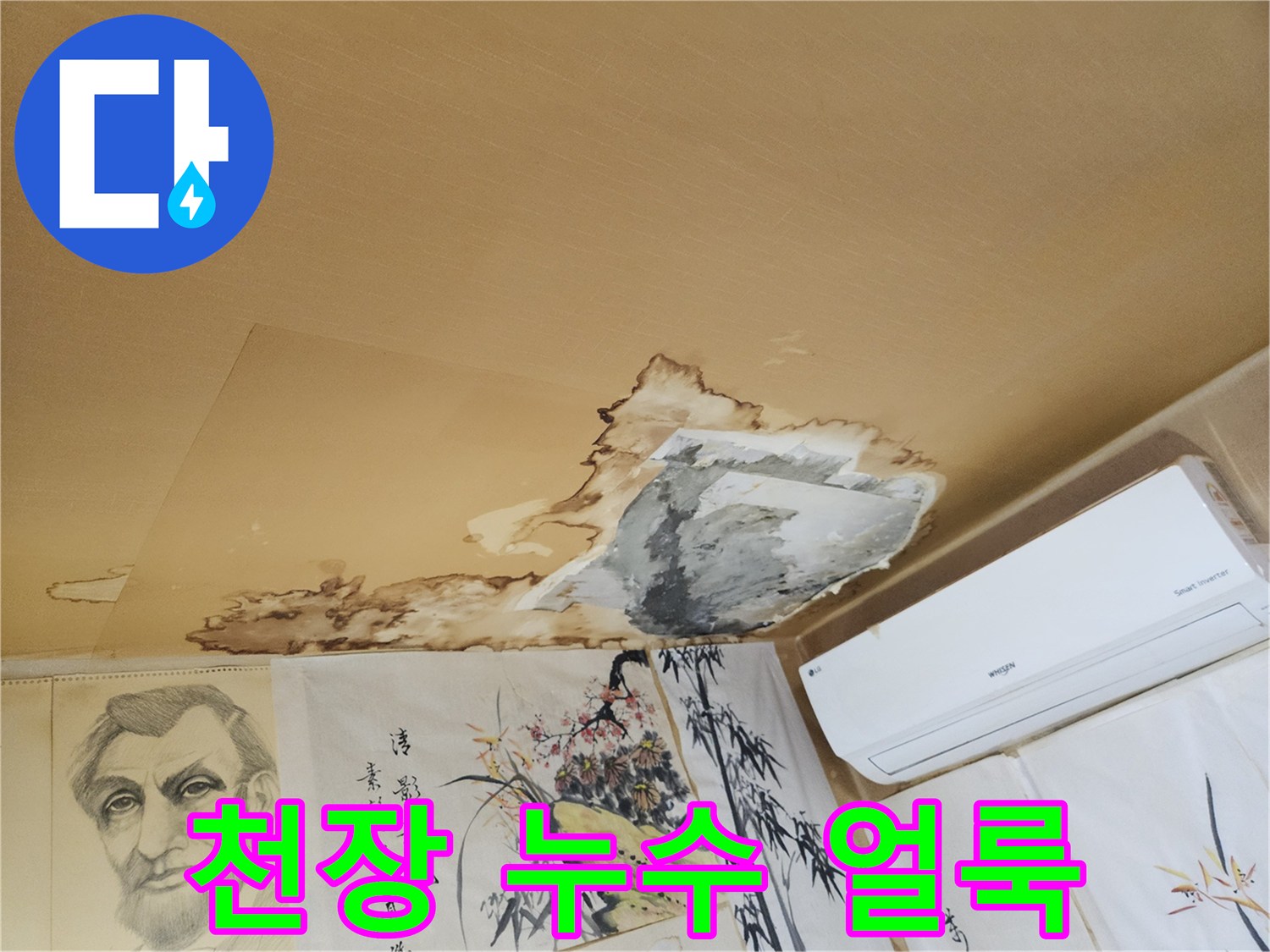 천장 석고보드에 발생한 넓은 물얼룩과 곰팡이 흔적