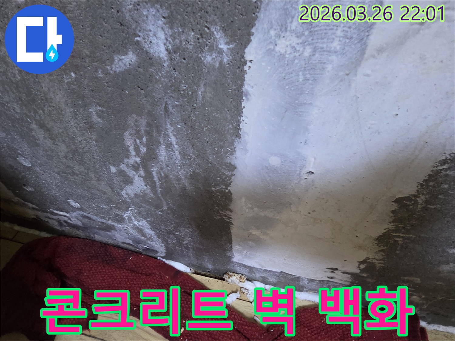 빌라-벽면에서-발견된-누수로-인한-콘크리트-백화-현상과-습기-제거-전-상태