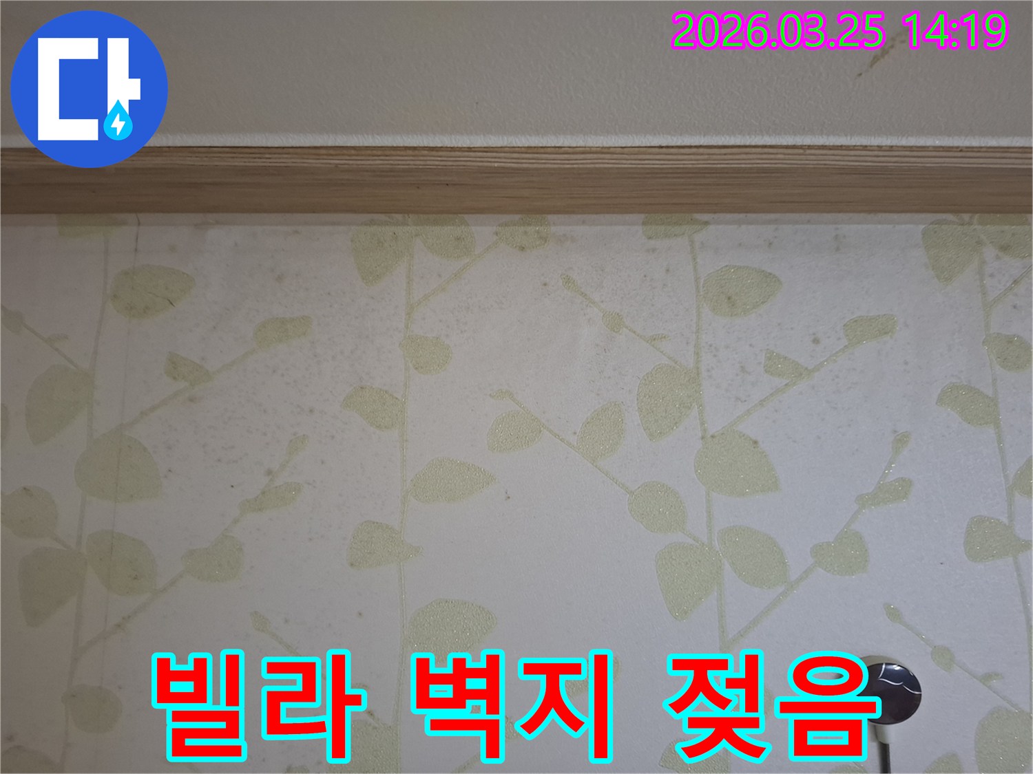 빌라-벽지-누수-젖음-현상-신속한-점검과-보수가-필요