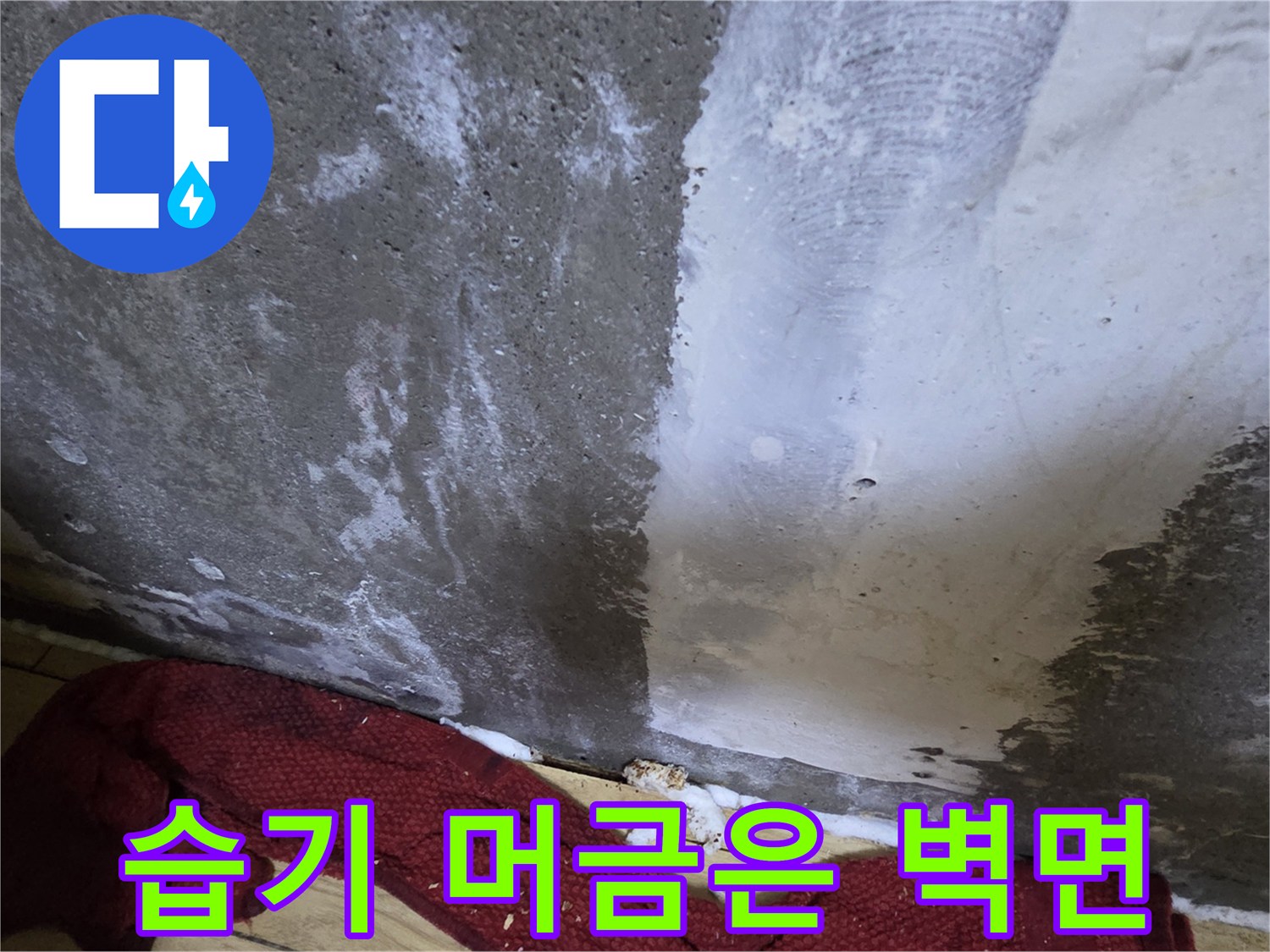 콘크리트 표면에 하얗게 피어오른 백화 현상 흔적