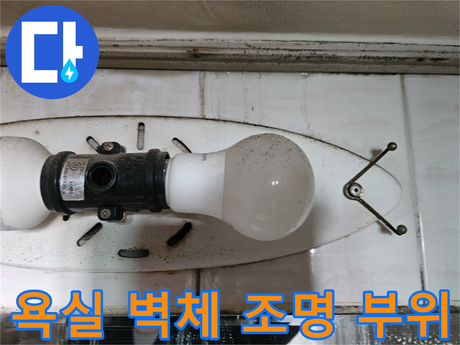 벽면 타일과 반원형 조명 기구의 설치 모습