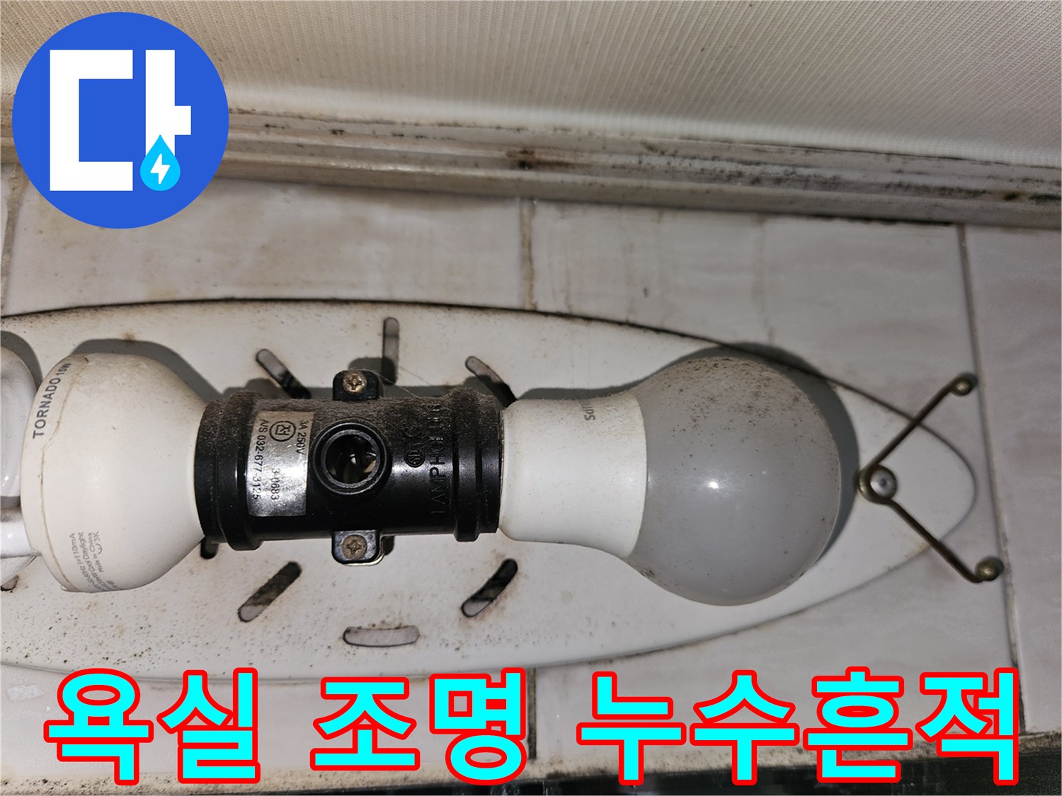 전등 주변 타일과 천장 부근의 물 번짐 현상 - 누수 지점 추적 중