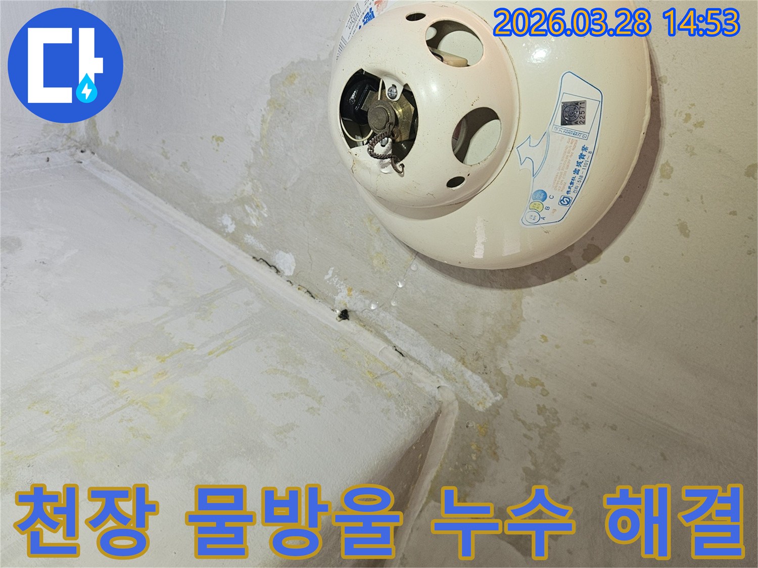 천장-온수기-아래로-물이-새어-나와-벽과-천장에-얼룩과-곰팡이를-유발한-누수-현장-모습