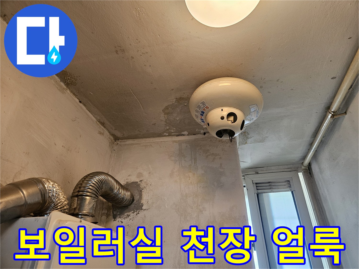 포천 일동면 보일러실-천장 전등 주변 습기 및 벽면 오염 상태