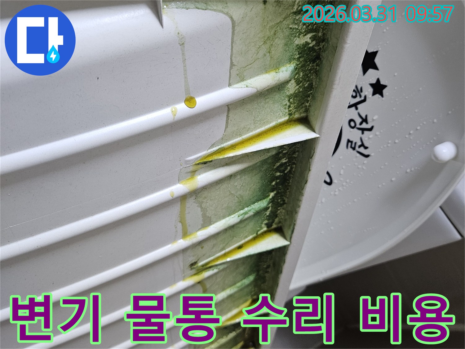 변기-물통-내부-벽면에-초록색-녹조와-노란-침전물이-누수로-인해-생성된-모습입니다