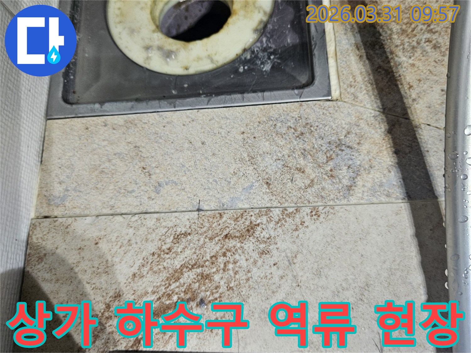 상가 욕실의 배수구와-심하게 오염된 트랩-그리고 주변 타일의 물때는-하수구 역류의 심각성을 보여줍니다.