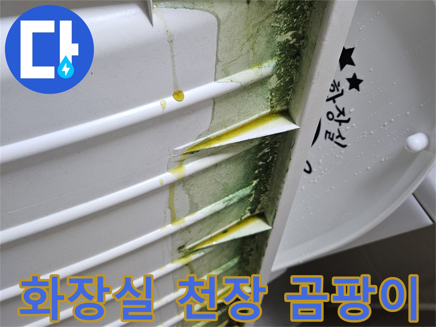 화장실-천장재-상단-부분의-녹색-곰팡이와-습기-흔적