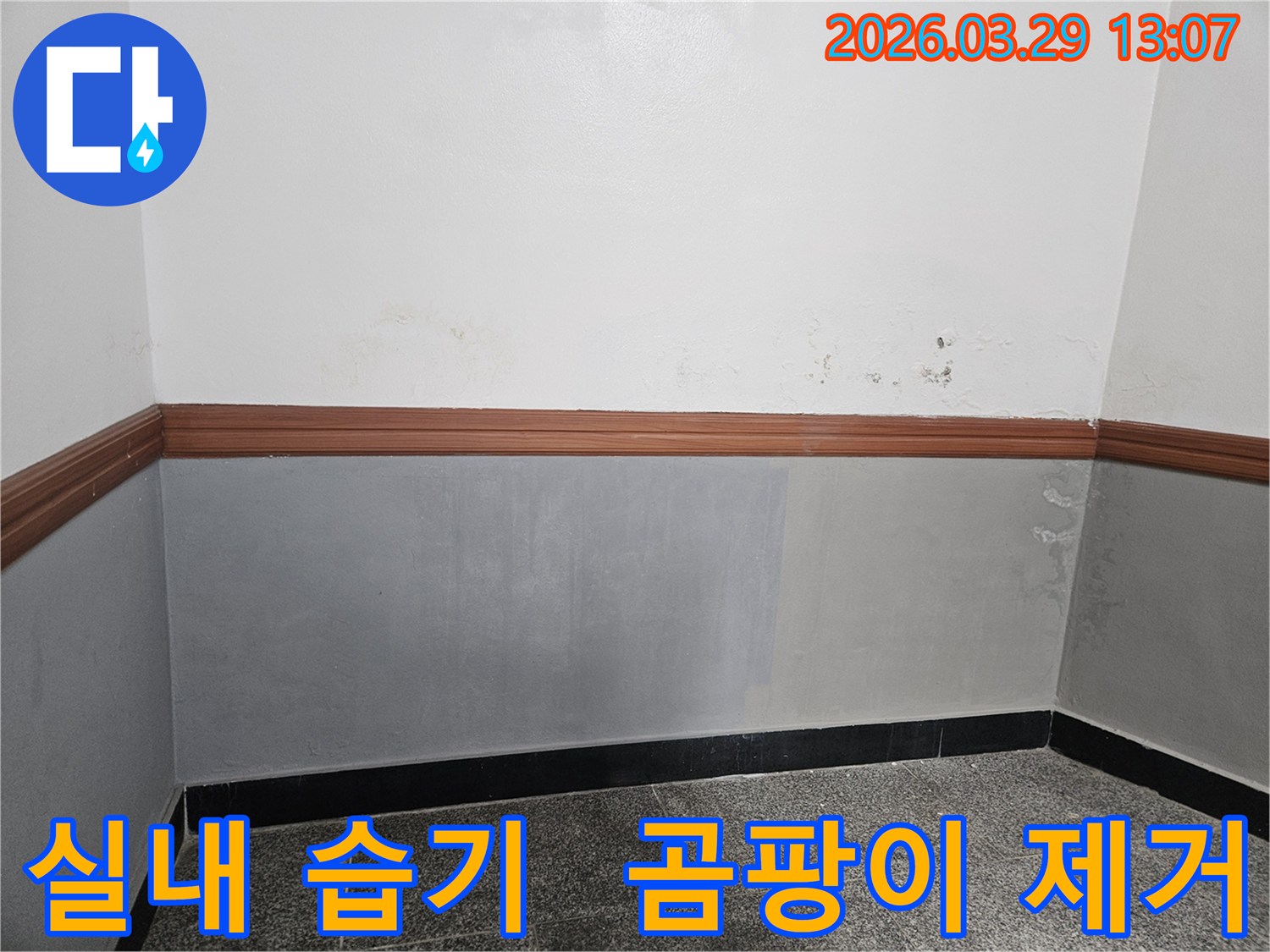 실내-벽면에-발생한-습기와-곰팡이를-제거하기-위한-누수-탐지-현장-사진입니다