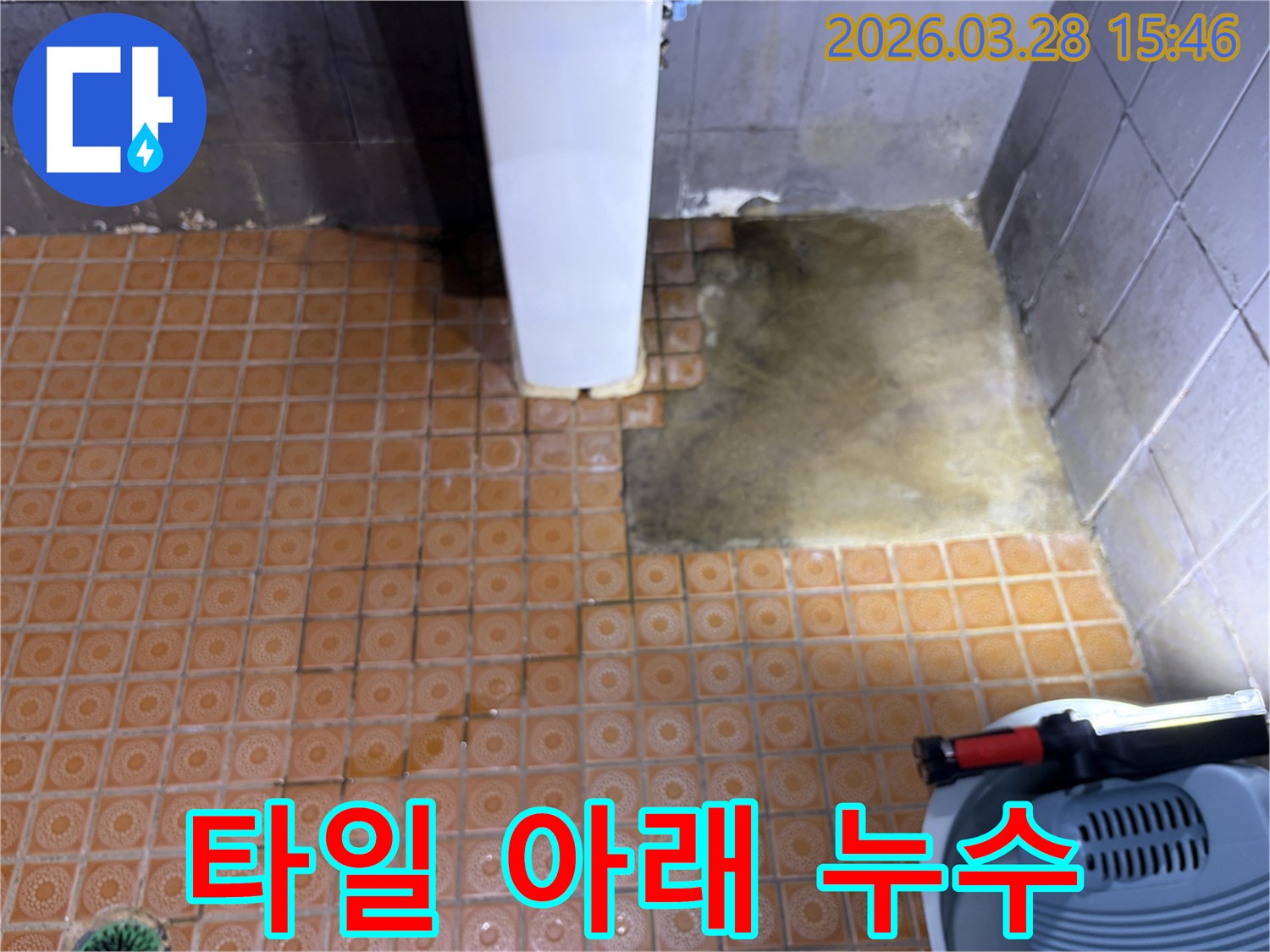 파주-문산-사무실-건물에서-발생한-누수로-인해-타일을-제거하고-누수-원인을-탐지하는-현장-모습