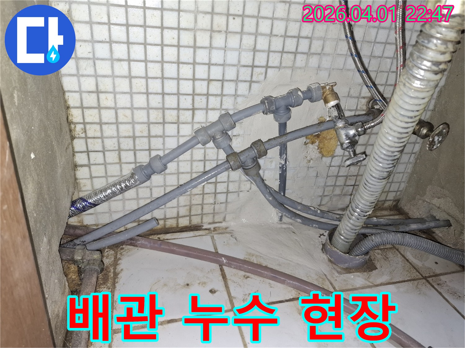 이 이미지는-타일 벽면과 바닥에 복잡하게 연결된-회색 배관들 사이에서-물이 새는 모습을-보여줍니다.