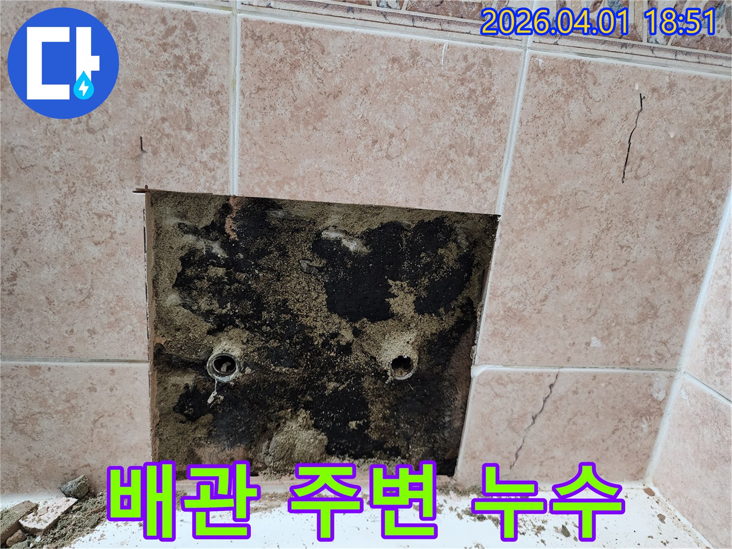 물샘 현상으로-벽면이 젖어-곰팡이가 번식한-욕실 내부-상태