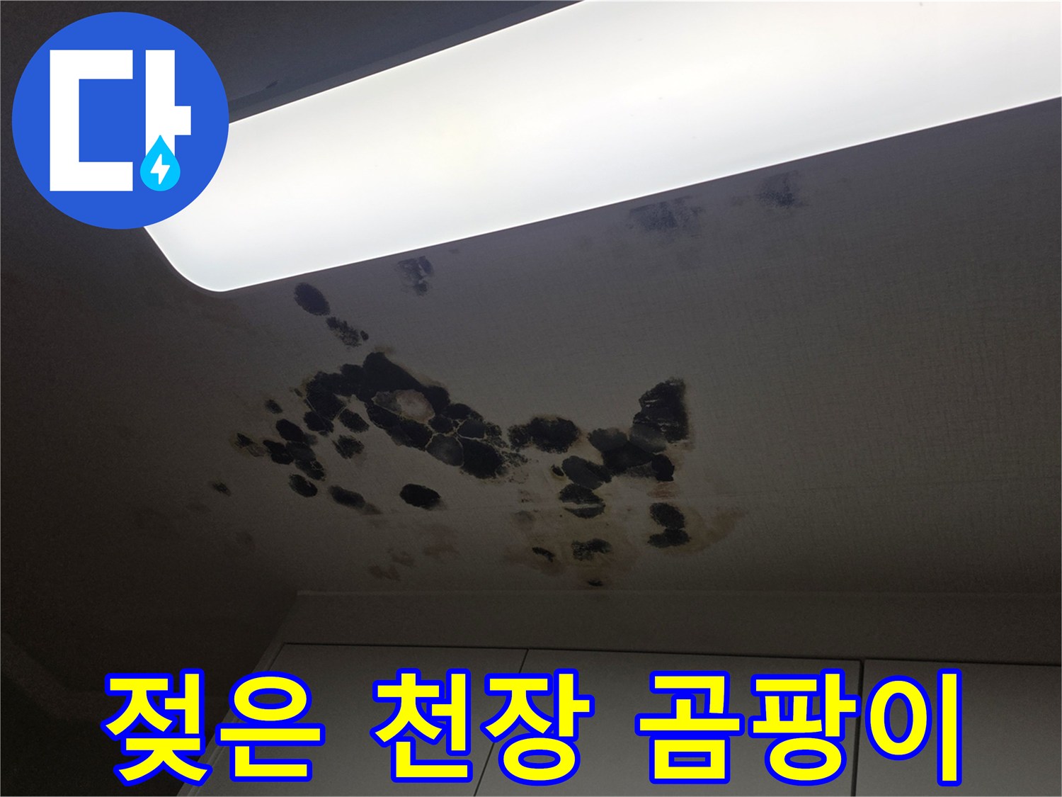 누수로-인해-검게-변한-천장-마감재