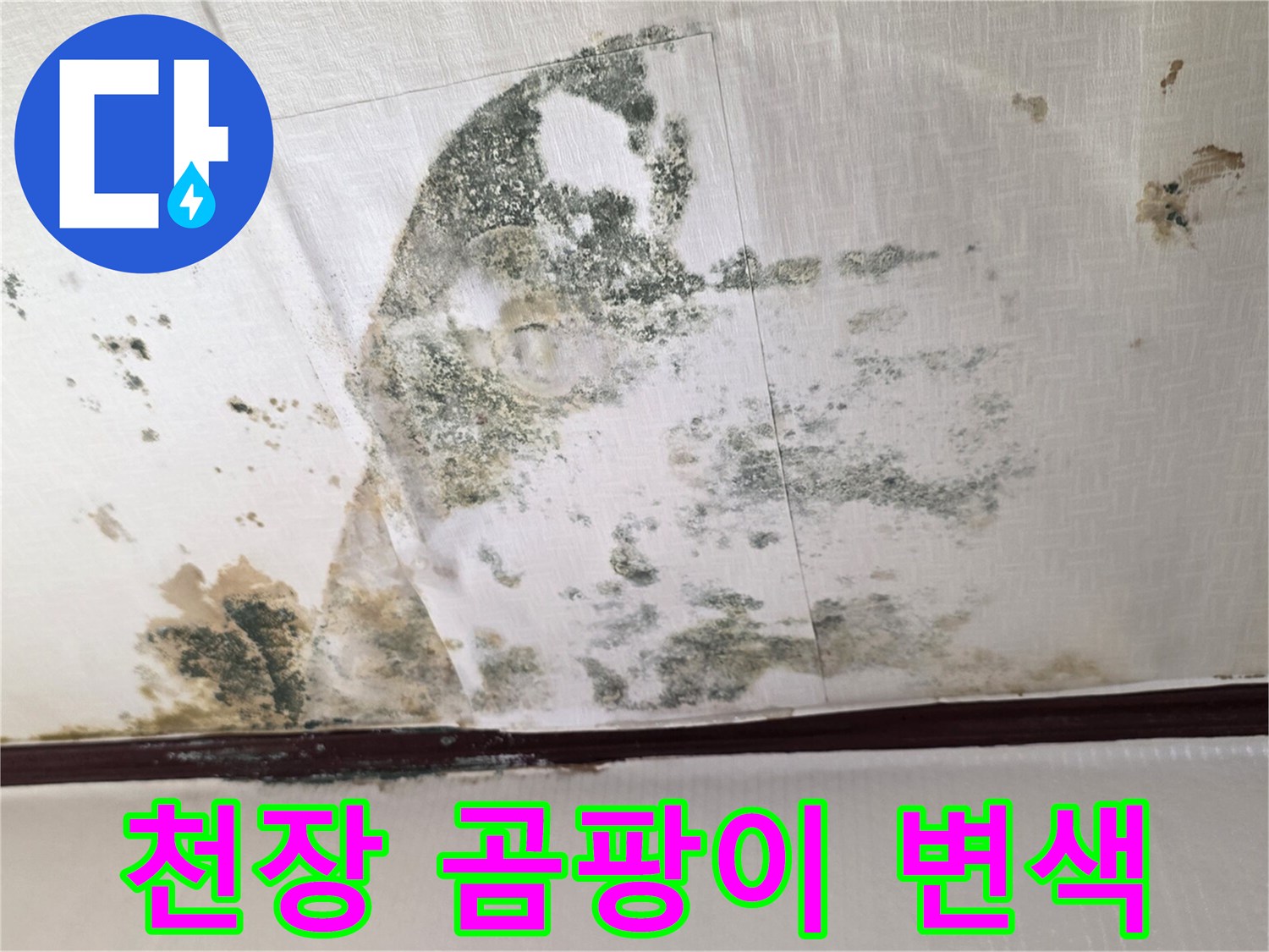 천장-도배지-곰팡이-및-물샘-흔적-정밀-확인