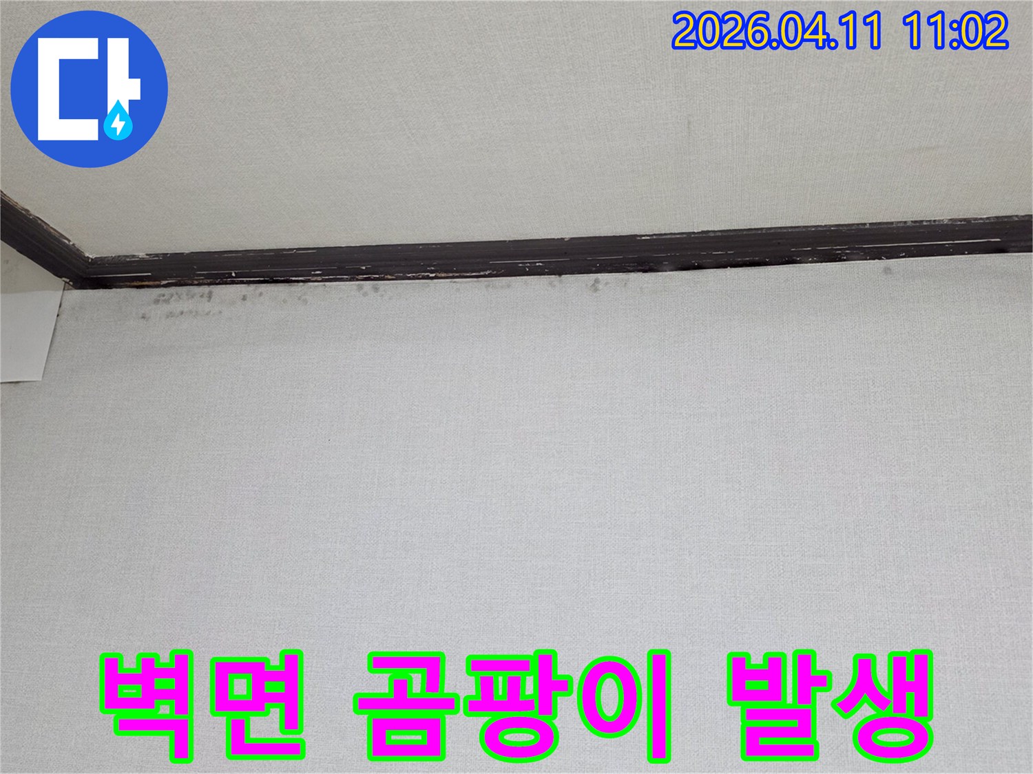 천장과-벽면-이음새에-생긴-검은-곰팡이와-물얼룩을-보여주는-누수-현장-사진입니다