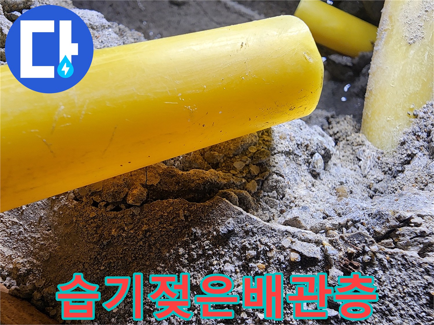 누수 지점-파손된 수도관 주변의 젖은 토양과 보호관