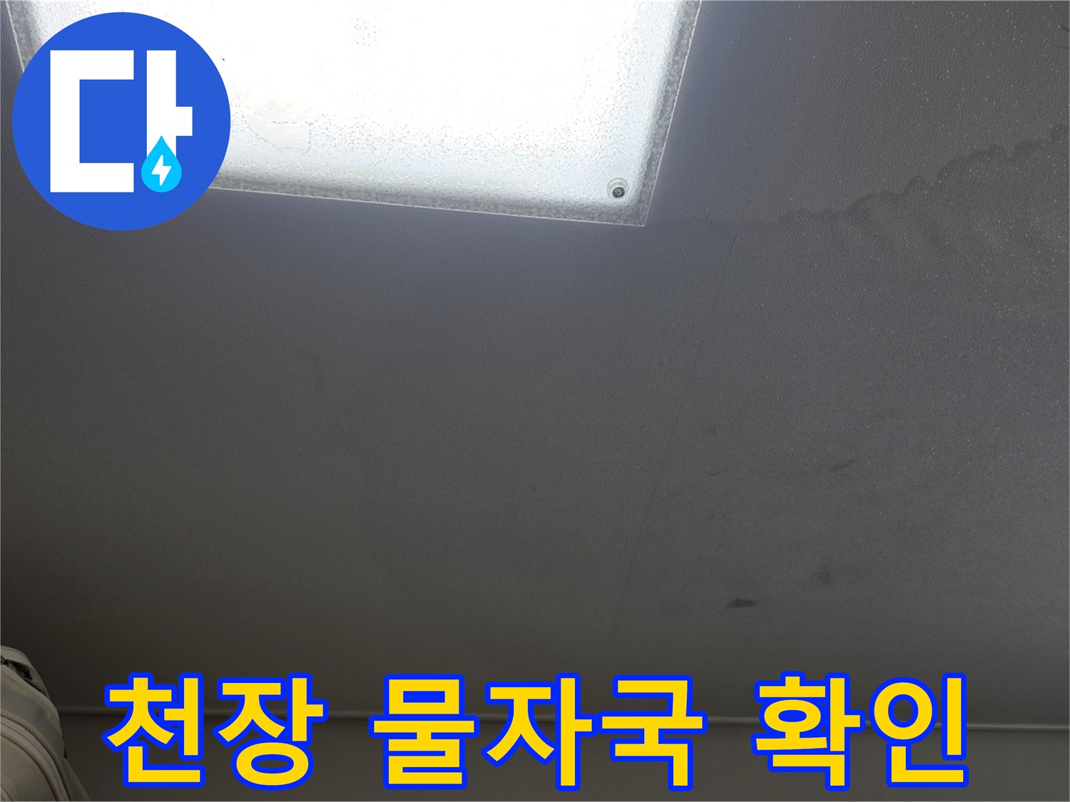 천장 조명 주변의 넓은 누수 흔적 및 변색 부위