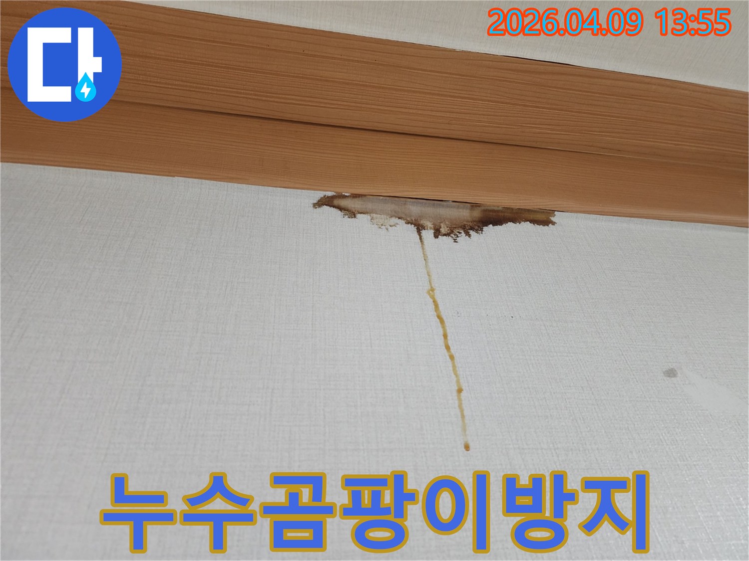 천장-몰딩-아래-벽지가-누수로-인해-젖고-변색되어-곰팡이-발생-우려가-있는-현장입니다