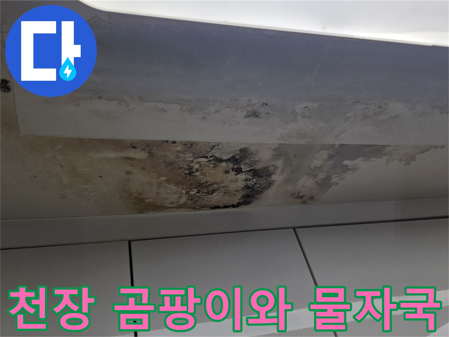 누수로 인해 변색되고 곰팡이가 발생한 천장 마감재 부위