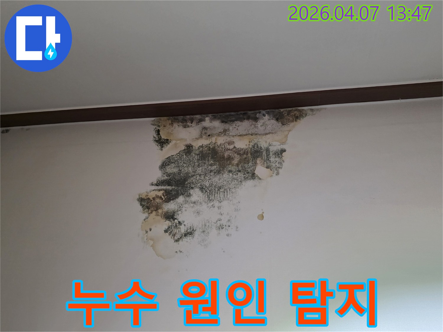 벽면-상단에-발생한-누수로-인한-물자국과-검은-곰팡이-현장-사진