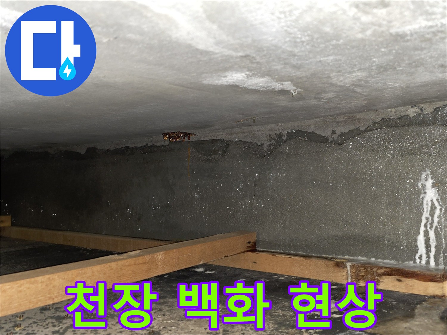 습기로 인해-하얗게 일어난 콘크리트 표면의 백화 현상