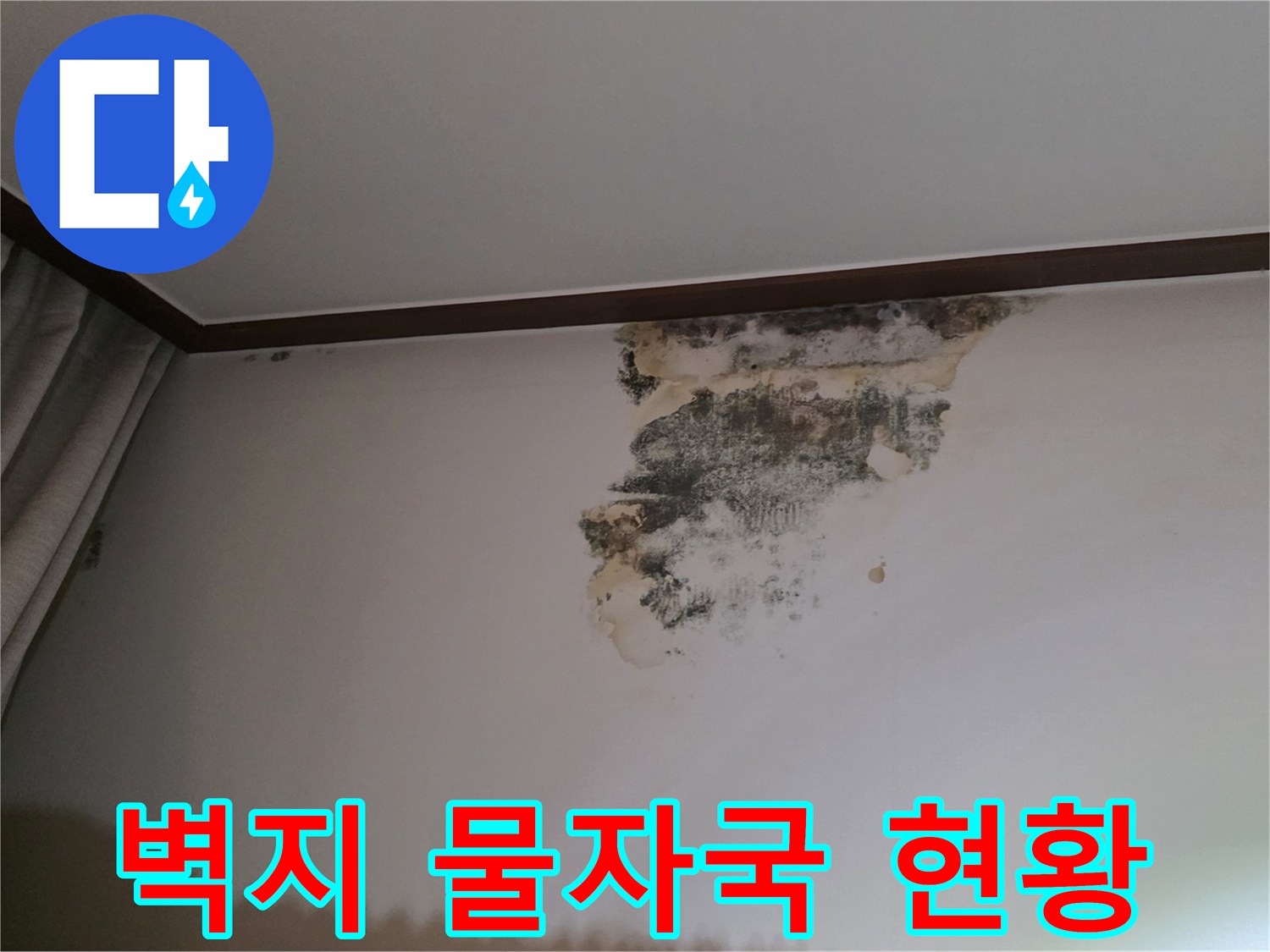 천장 벽지의 갈색 변색 및 곰팡이 발생 부위