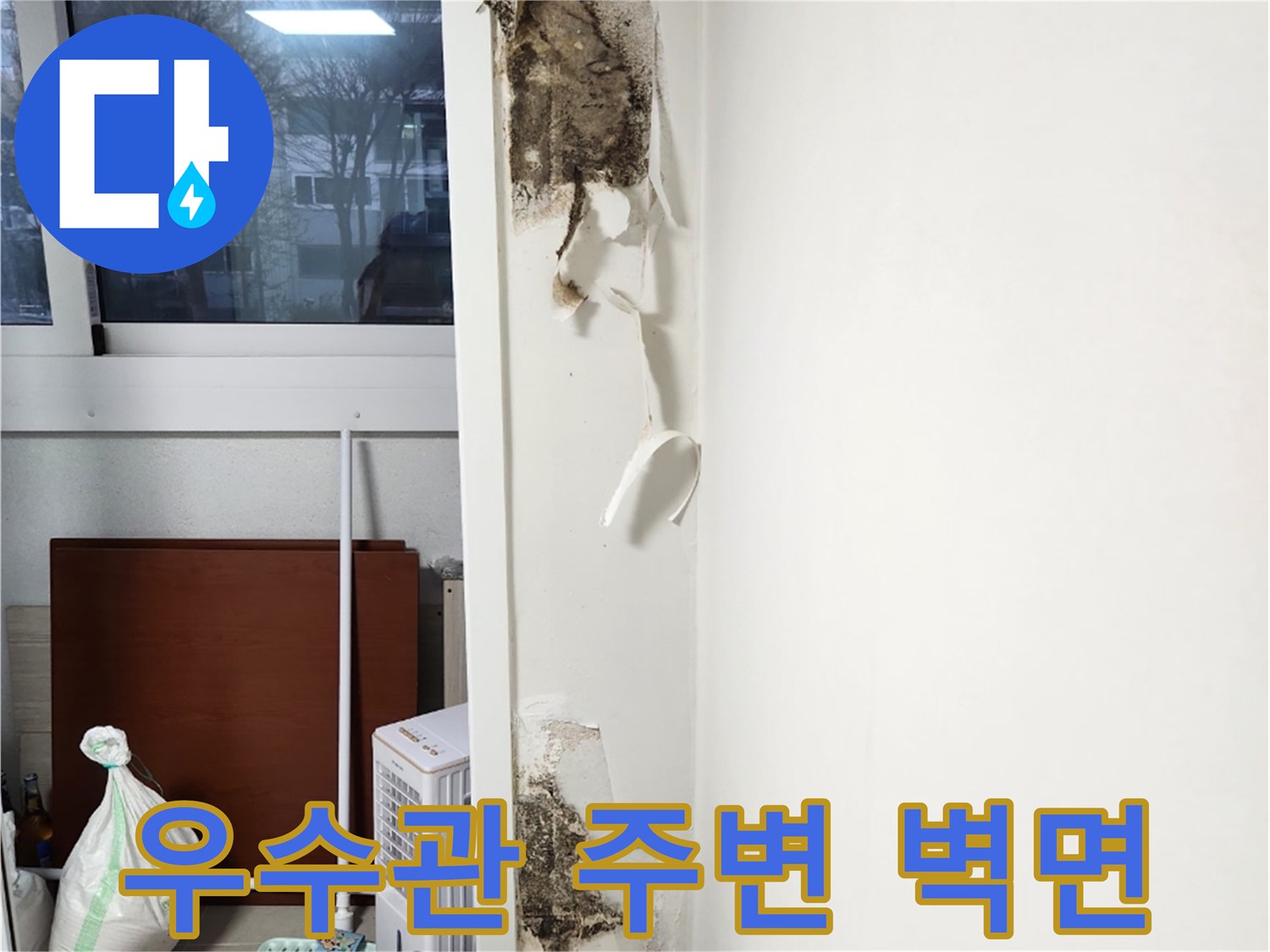 우수관 하단부 콘크리트 곰팡이와 벽지 박리 현상