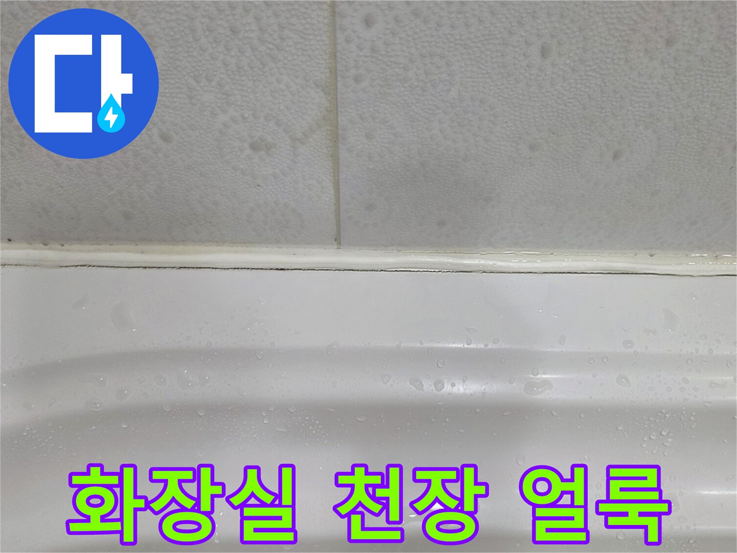 김포 풍무동-화장실 천장 부근의 습기와 얼룩 상태