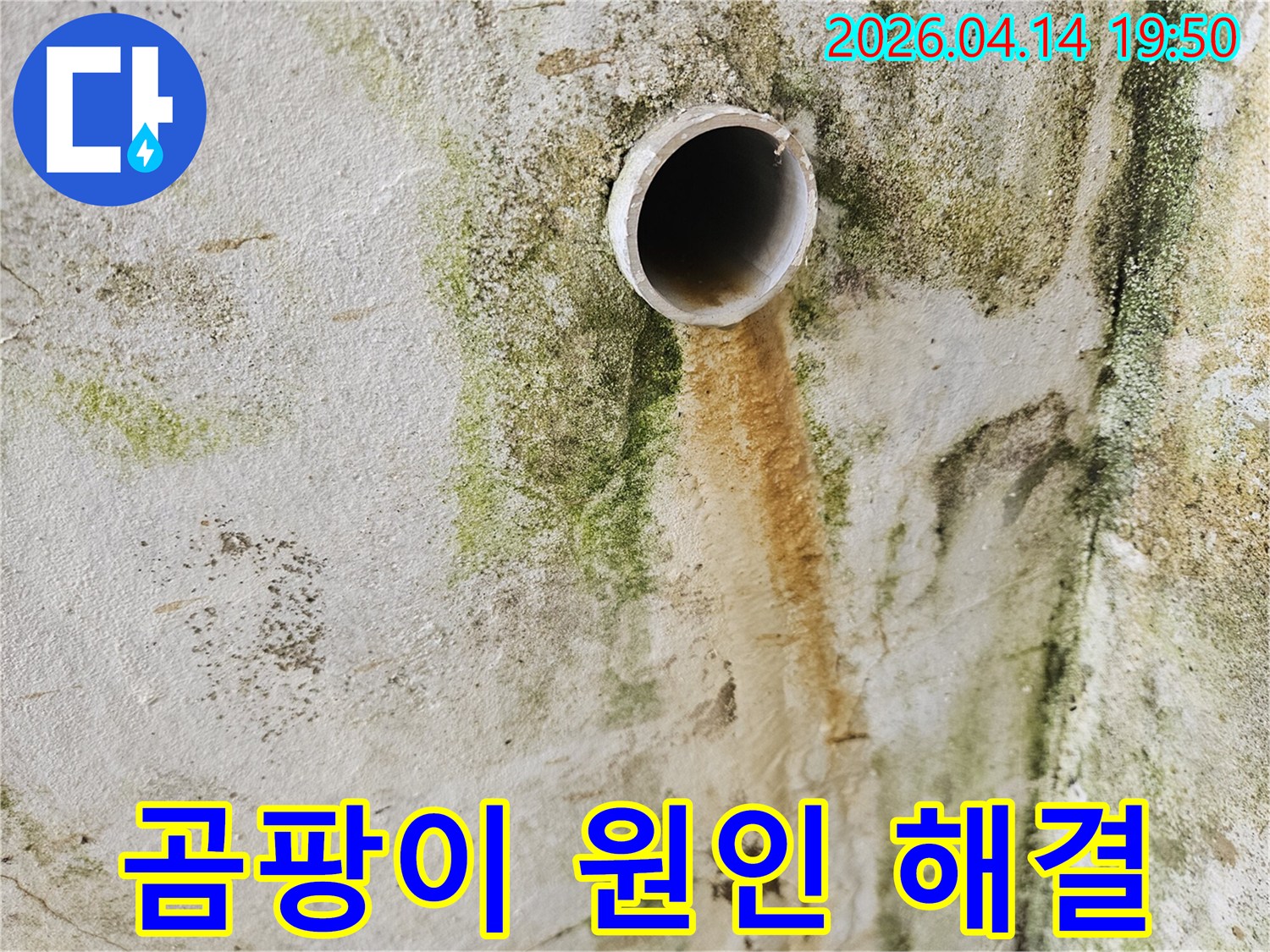 습기로-인해-벽면이-젖고-곰팡이가-번식한-누수-발생-지점입니다