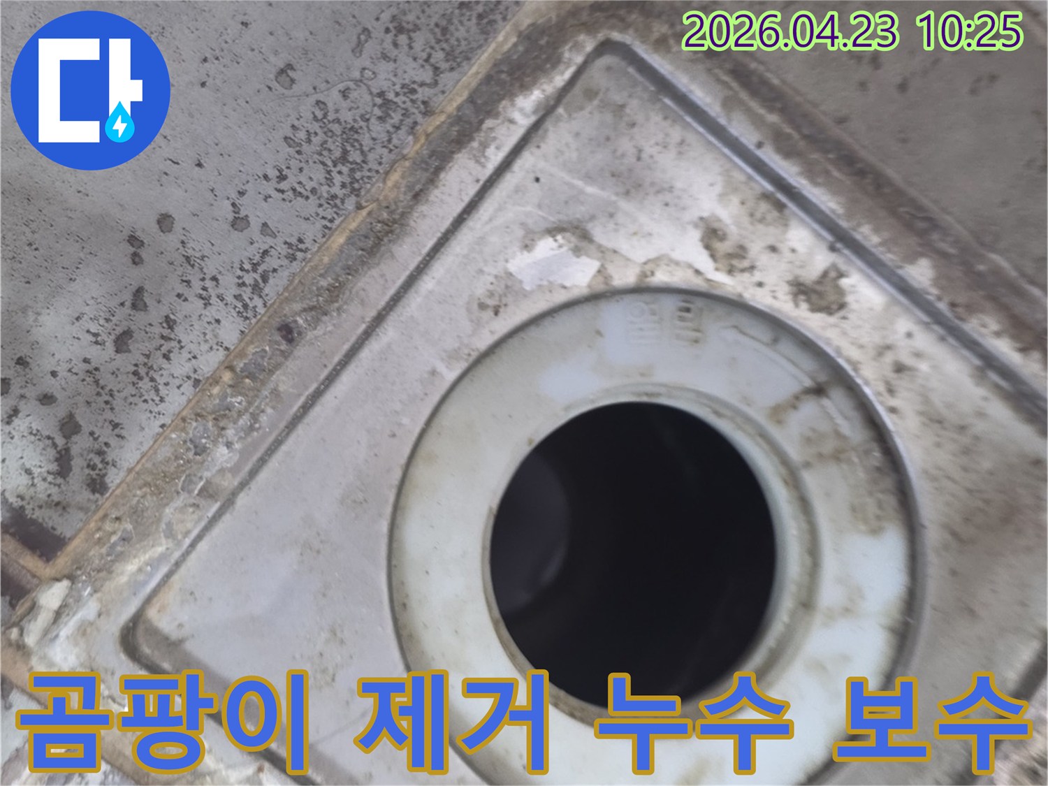 서울 은평구 갈현동의 배수구 주변에 발생한-곰팡이 제거와 누수 보수 현장 사진입니다