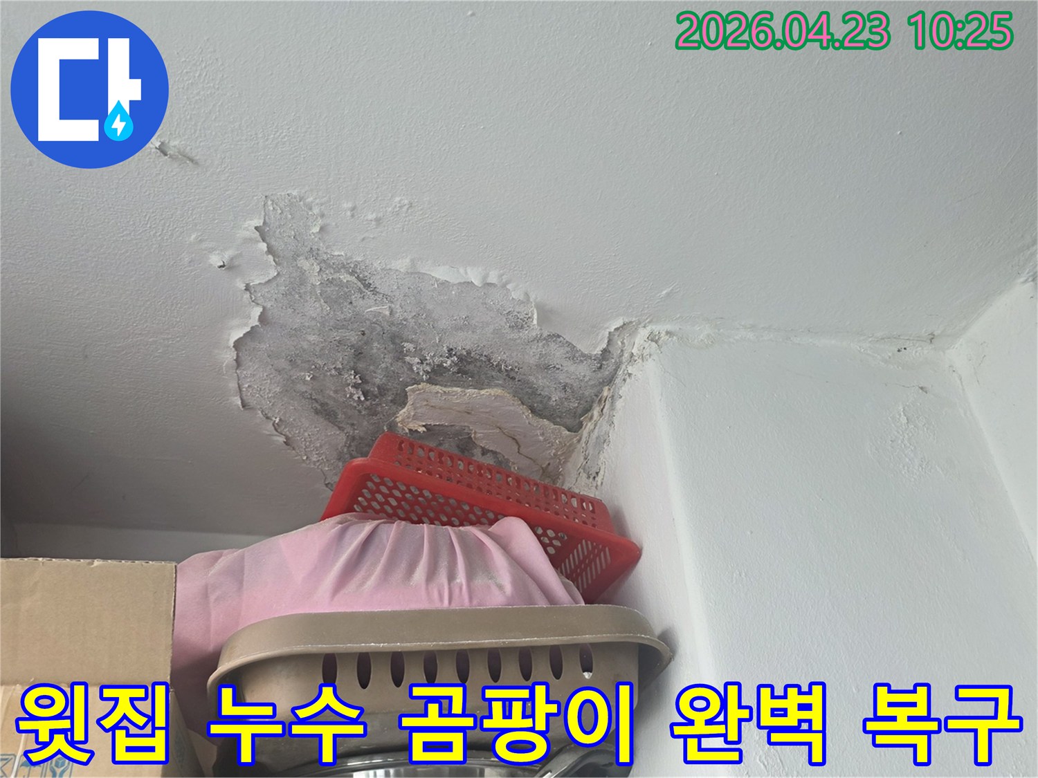 윗집 누수로 인해-천장 벽지가 벗겨지고-검은 곰팡이가 생긴 상태-완벽 복구 전