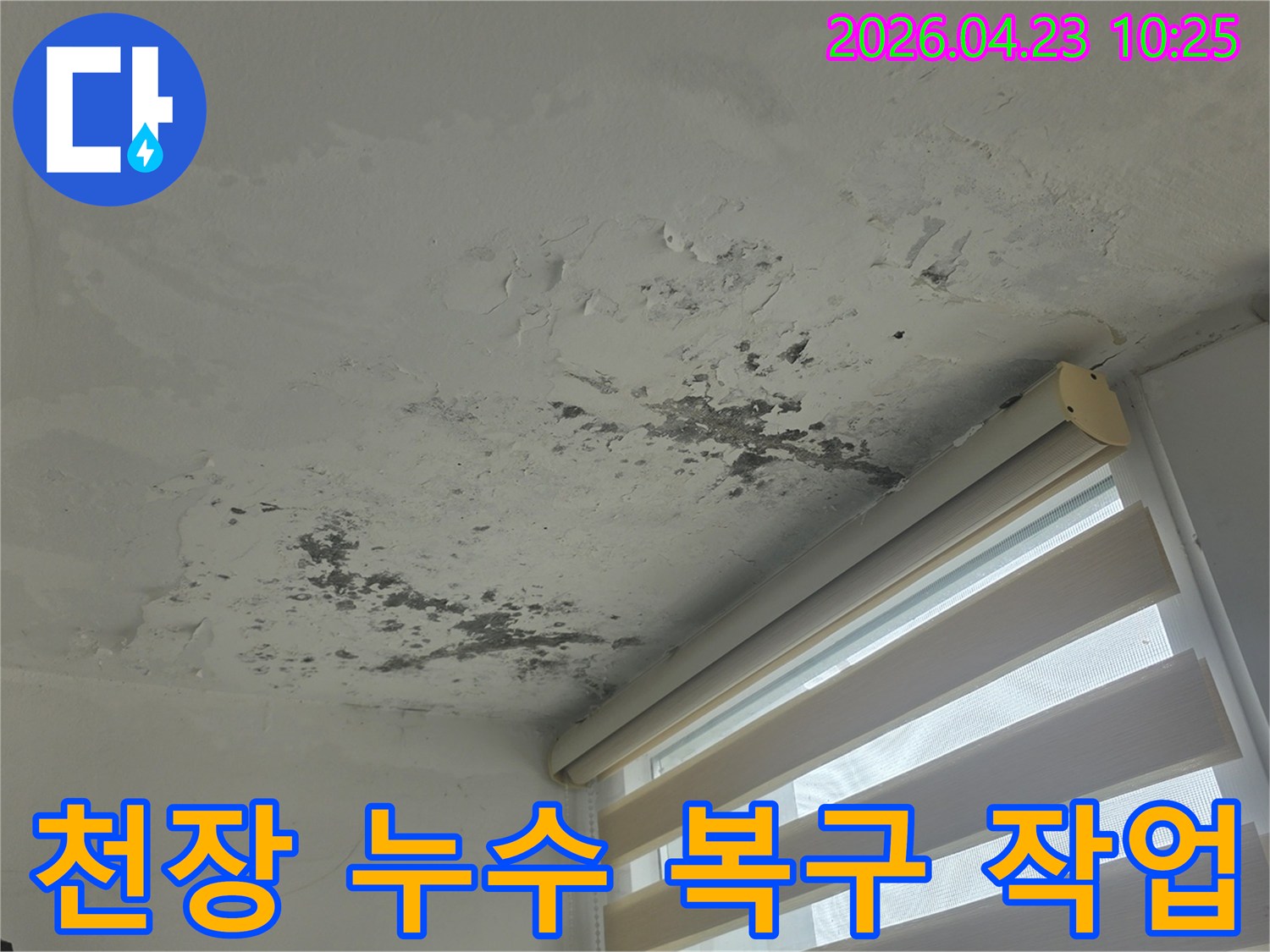 천장과 벽면에 번진 물자국과-심각한 곰팡이로-누수 피해가 명확히 보이는 아파트 내부