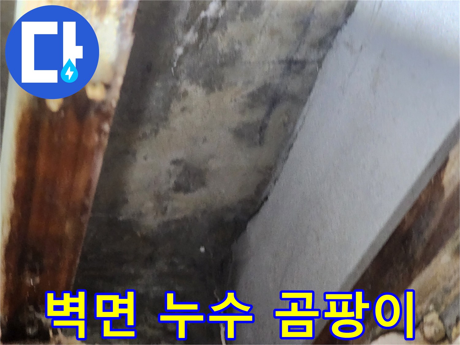 이 사진은 벽면과 천장 경계에서 발생한 누수로 인한 곰팡이와-오염 상태를 명확히 보여줍니다